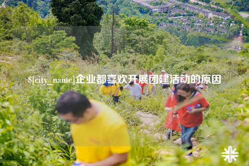 宁夏企业都喜欢开展团建活动的原因